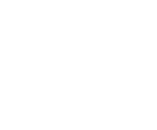 Grand Entrance Gate